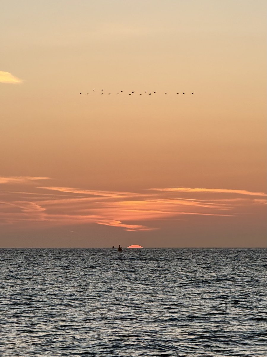 MarcD_Weegem's tweet image. Hope
.
#ireland #stormhour #ThePhotoHour #sunrise #wicklow #dogsofx #greystones #irelandsancienteast #KeepDiscovering