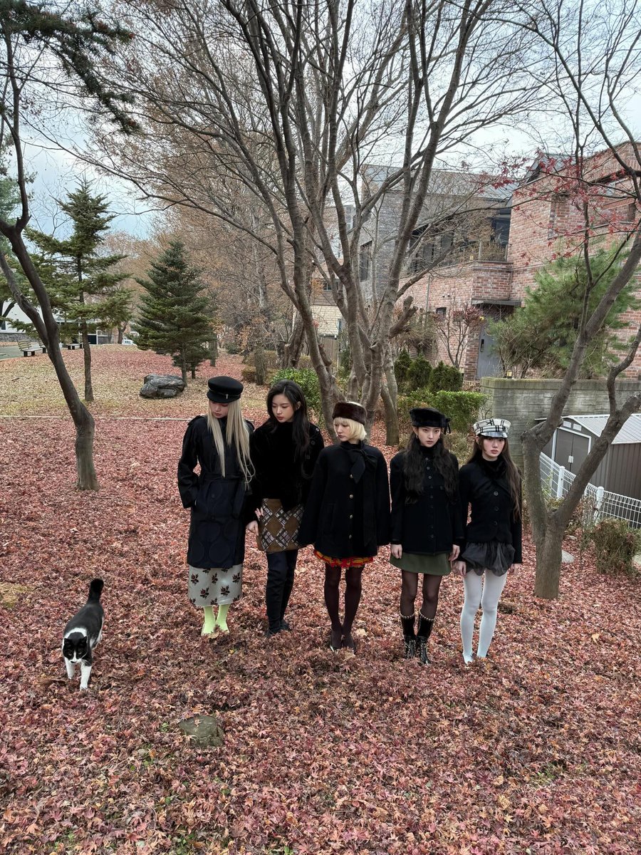 ️️ؘ tweet media