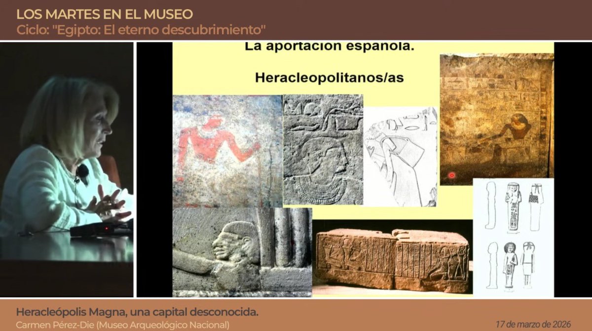 Museo de Albacete tweet media
