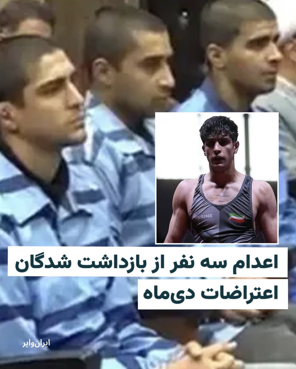 Saba Majlessi tweet media