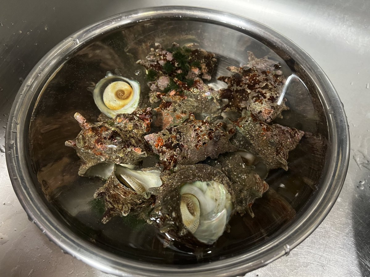 杏ちゃむ ／ANCHAM tweet media