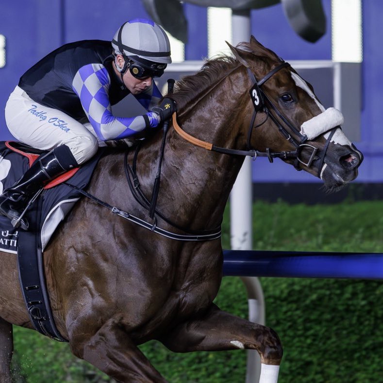 Michael Adolphson tweet media