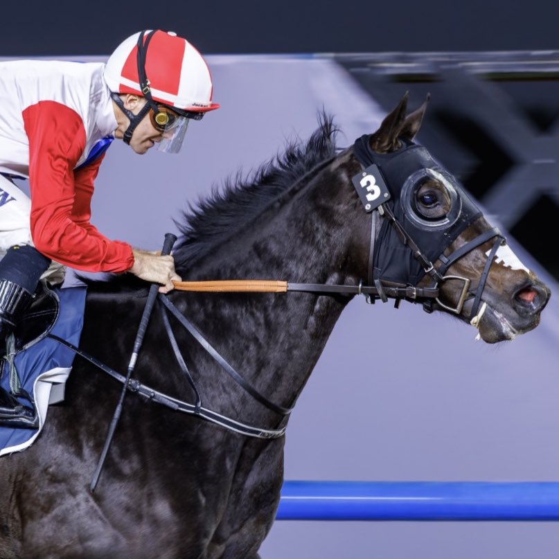 Michael Adolphson tweet media