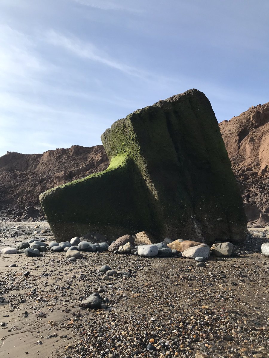 Dean Wilson tweet media