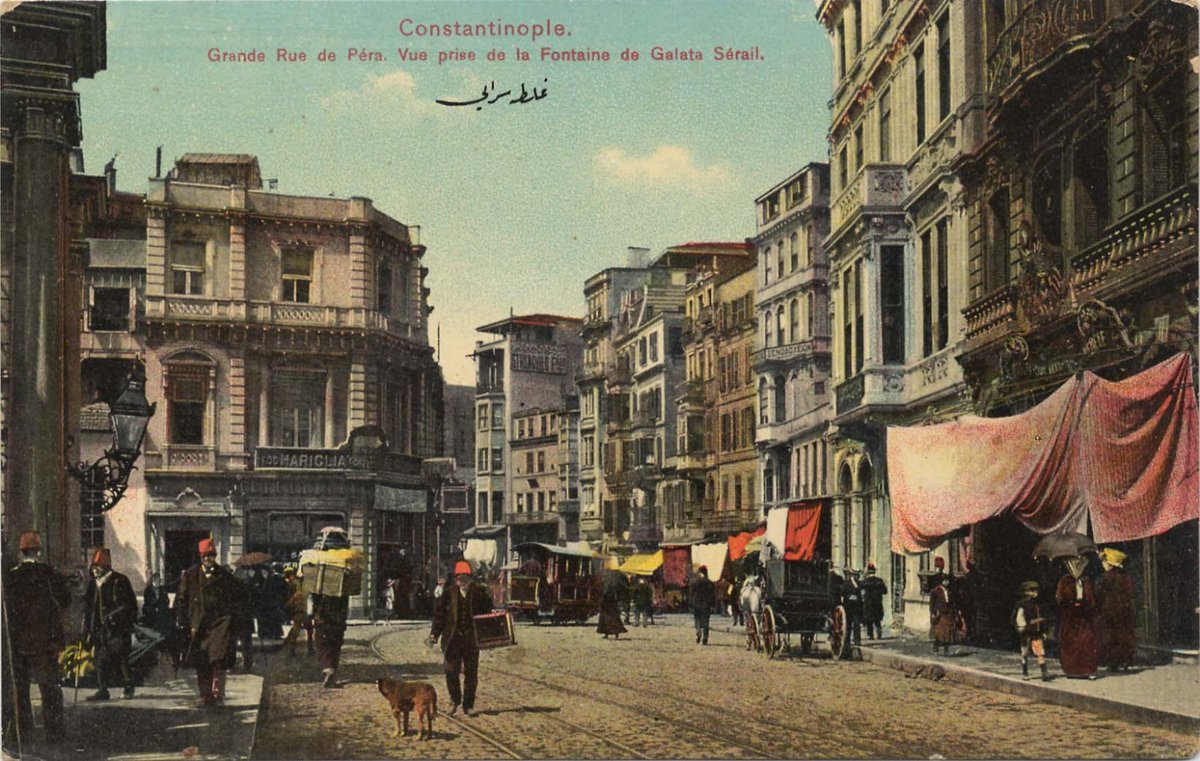 kopukbaglar tweet media