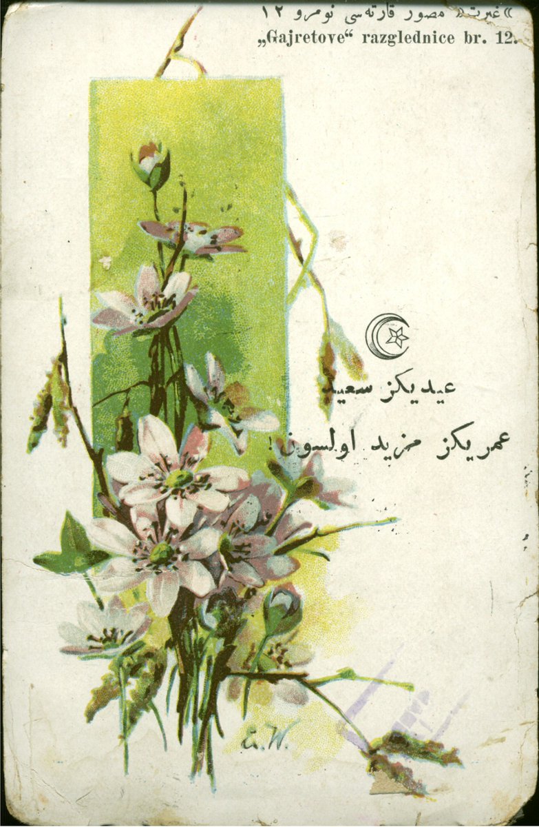 kopukbaglar tweet media