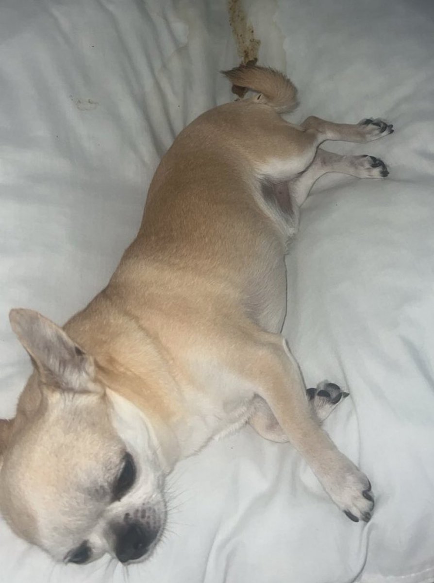 Ela 🔪 tweet media