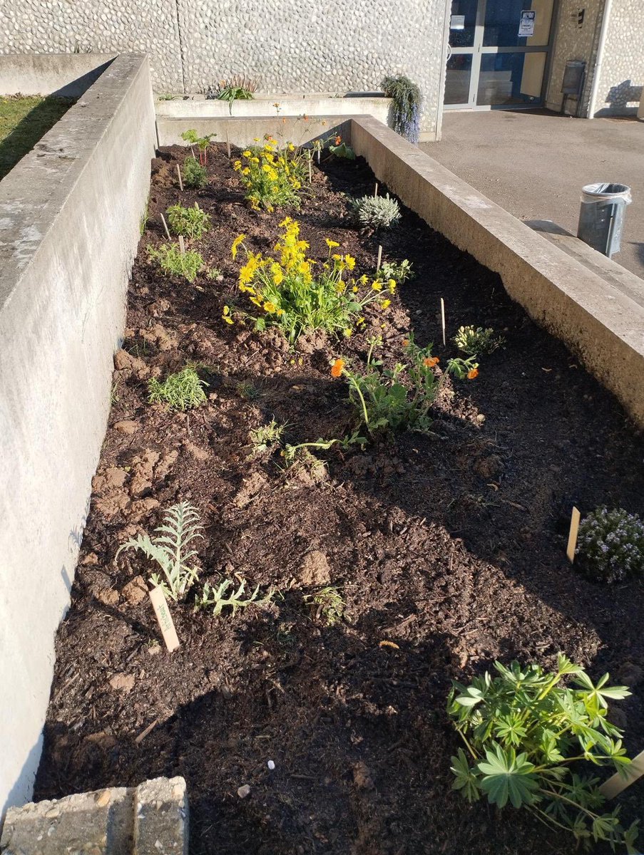 Lycée Jeanne d'Arc Rouen tweet media