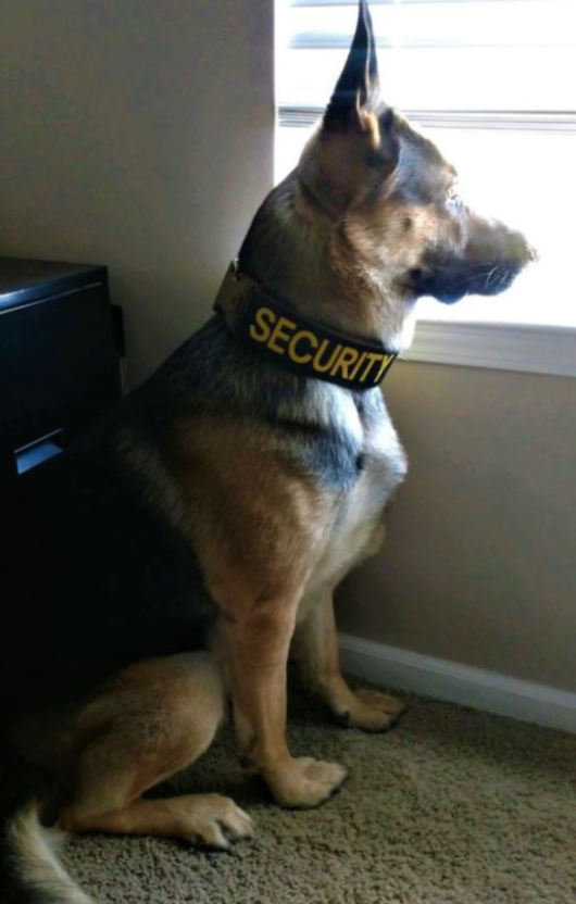 BennyRosalez tweet media