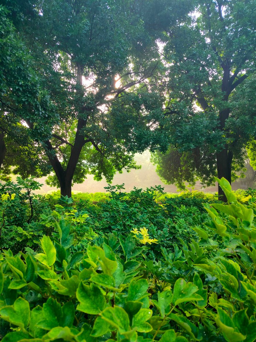 BLACK DRK tweet media