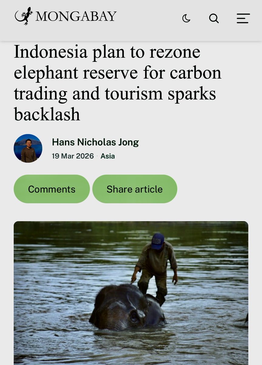 Aida Greenbury tweet media