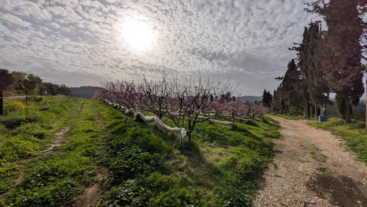 Jonathan Grossman tweet media