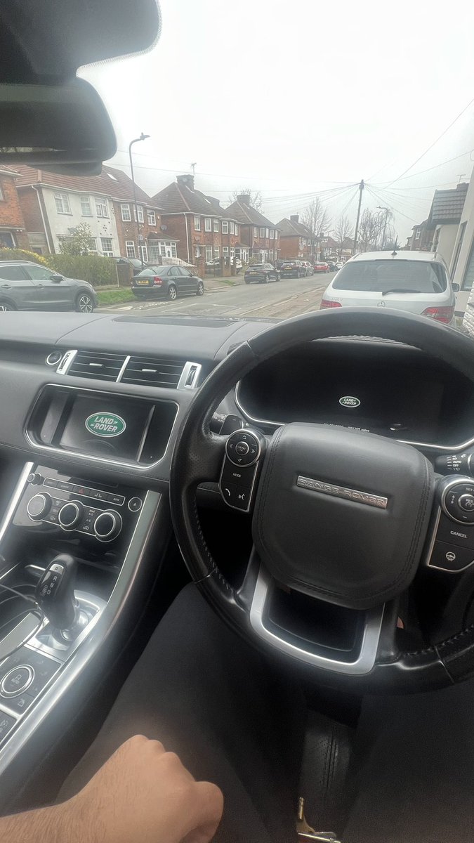 bears 🐻 tweet media