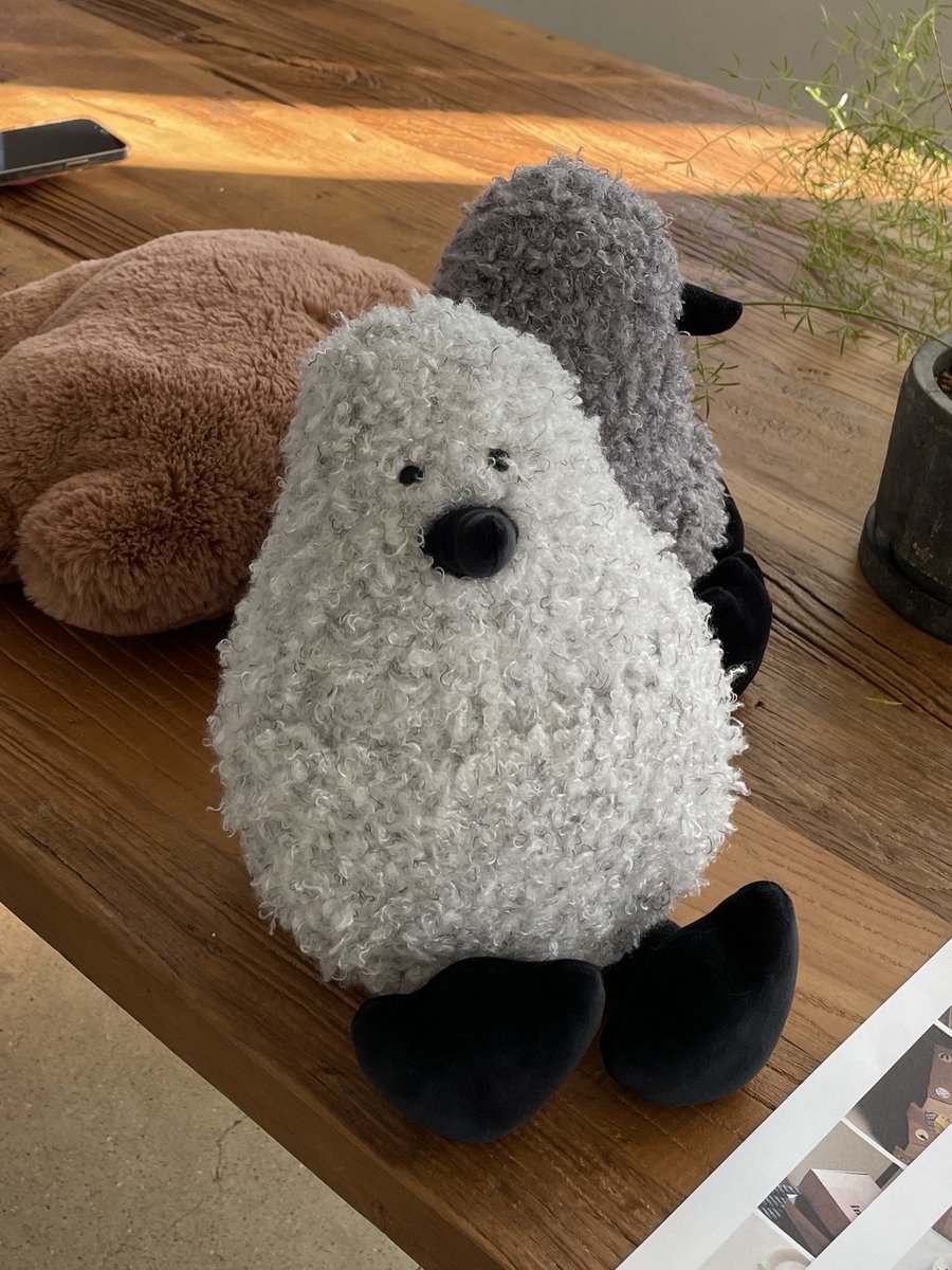 호즈미 tweet media