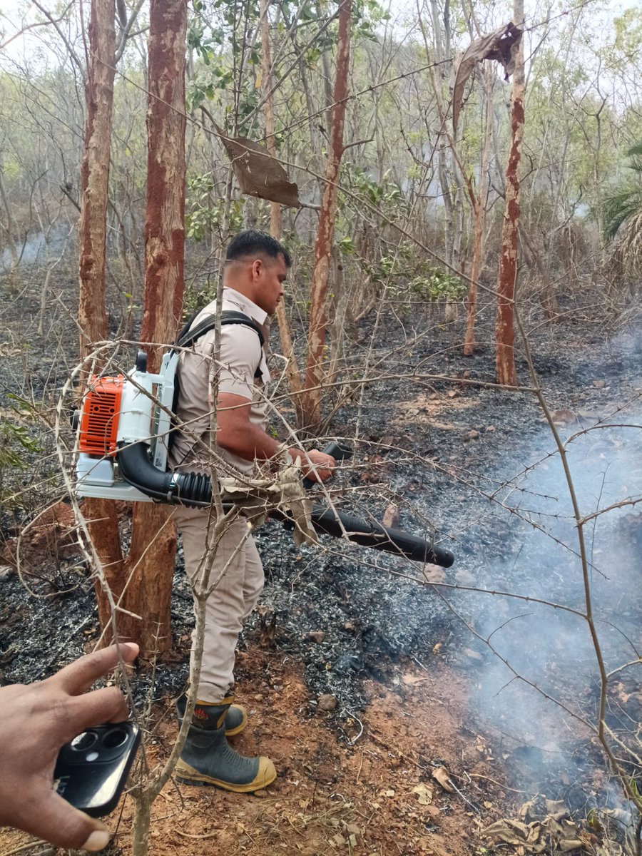 Odisha Fire & Emergency Services tweet media