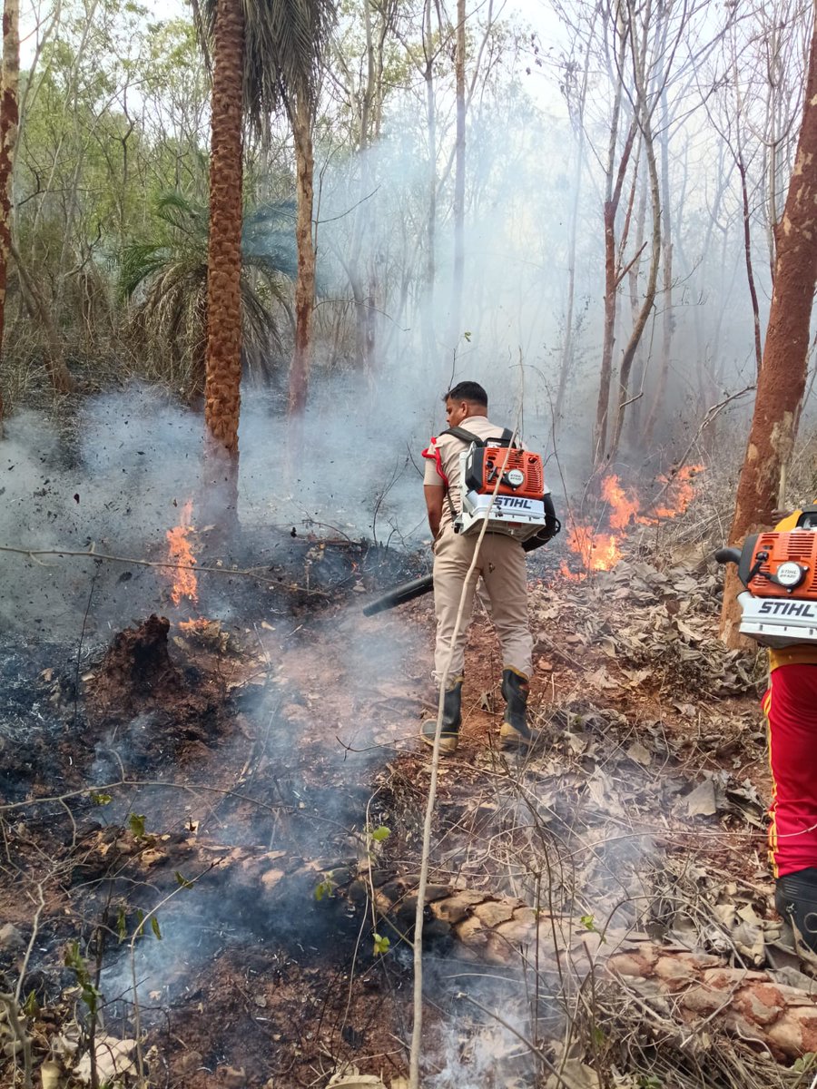 Odisha Fire & Emergency Services tweet media