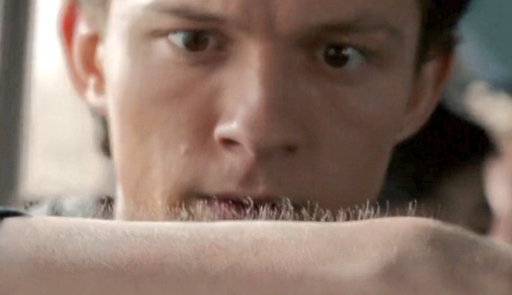 பாக்டீரியா tweet media