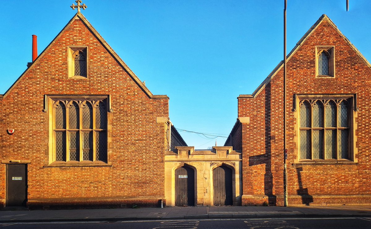 Paz DLXV tweet media