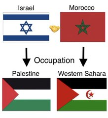 Sina ⸆⸉ 🇫🇷🇵🇸🇸🇩🇨🇩🇺🇦 𑣿 KATSEYE IS SIX tweet media