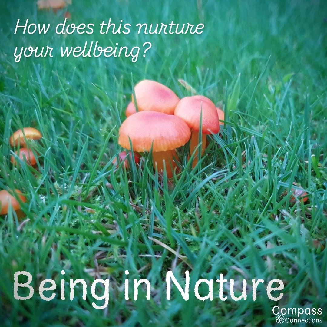 Compass Connections tweet media