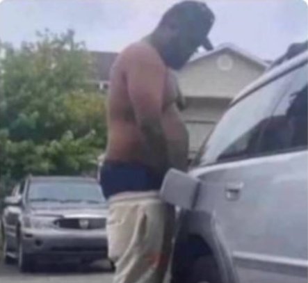 codex✰ tweet media