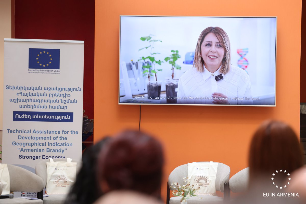 EU Armenia tweet media