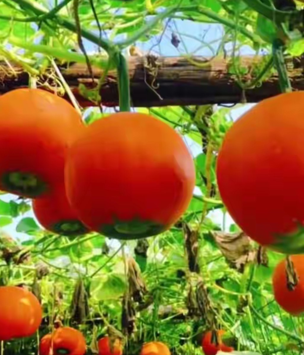 Fiona Gedson tweet media