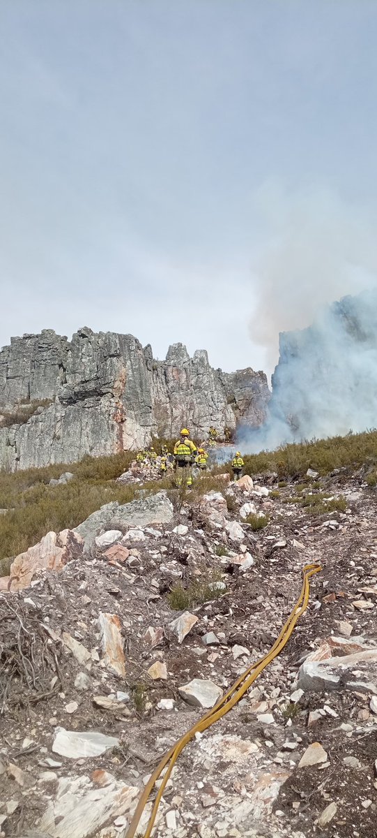 BRIF TABUYO tweet media