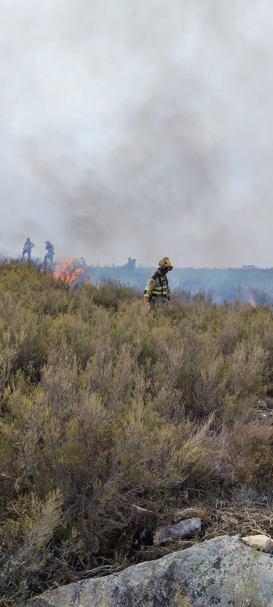 BRIF TABUYO tweet media