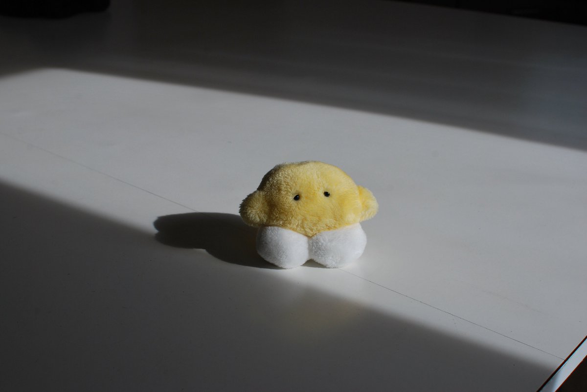 カネヒラ (@simainusima) on Twitter photo 