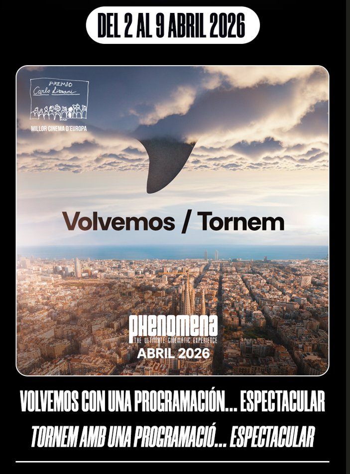 Phenomena Experience tweet media