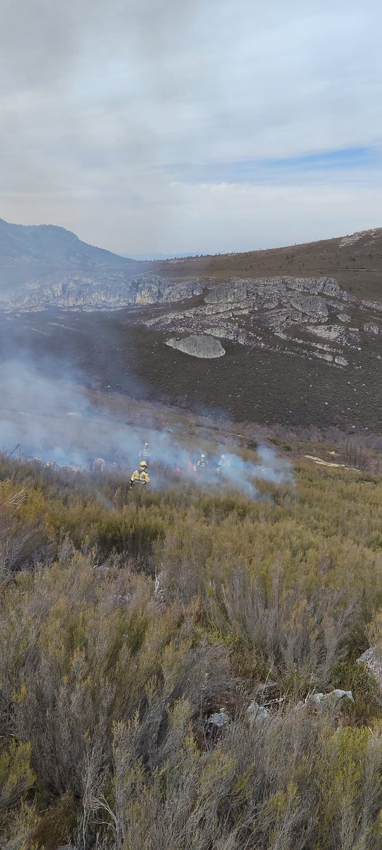 BRIF TABUYO tweet media