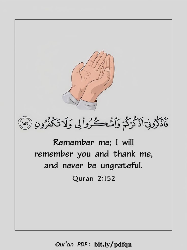 القرآن الكريم tweet media