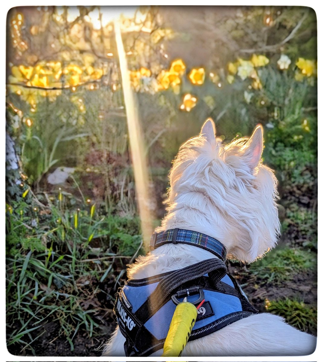 suzanne masters tweet media