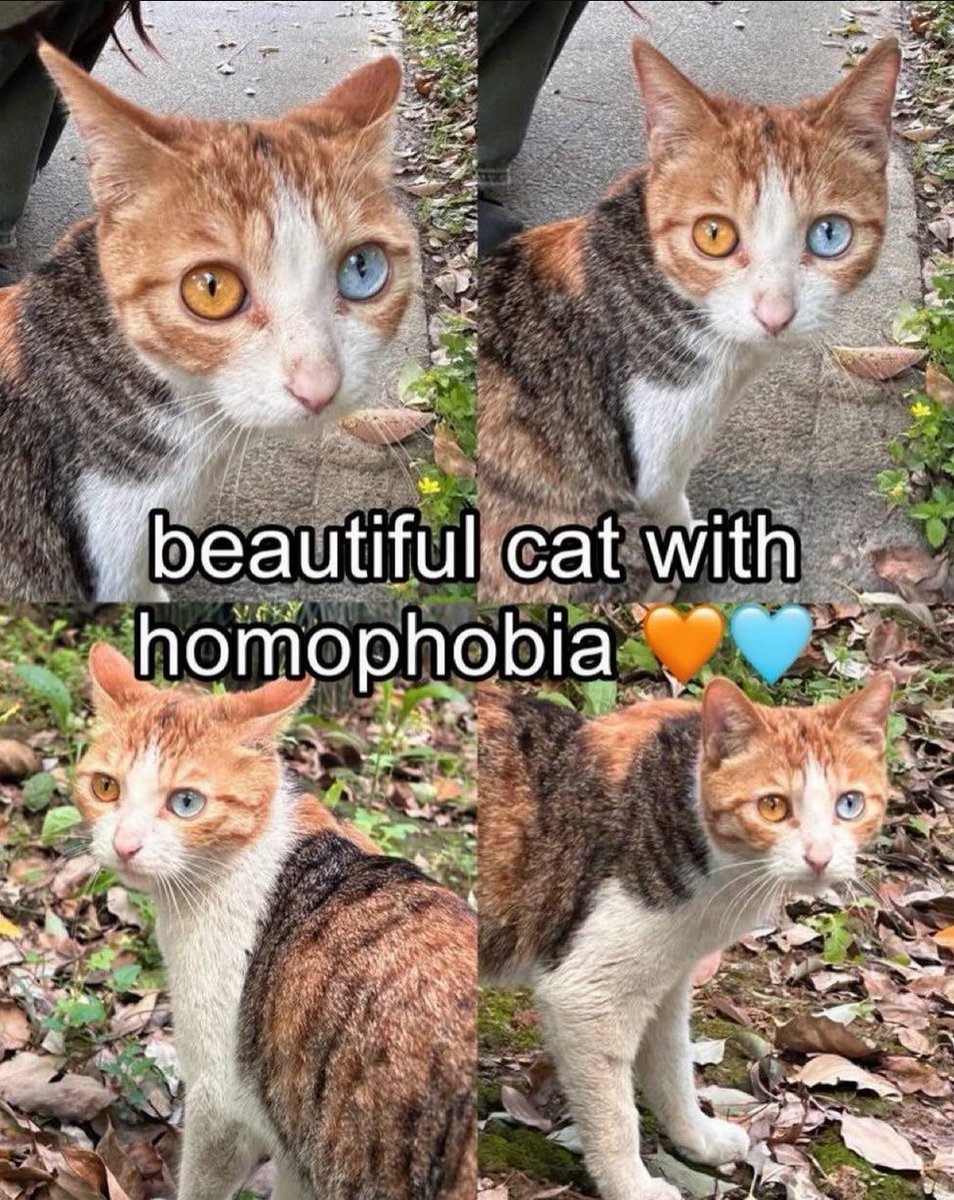 i drink soup tweet media