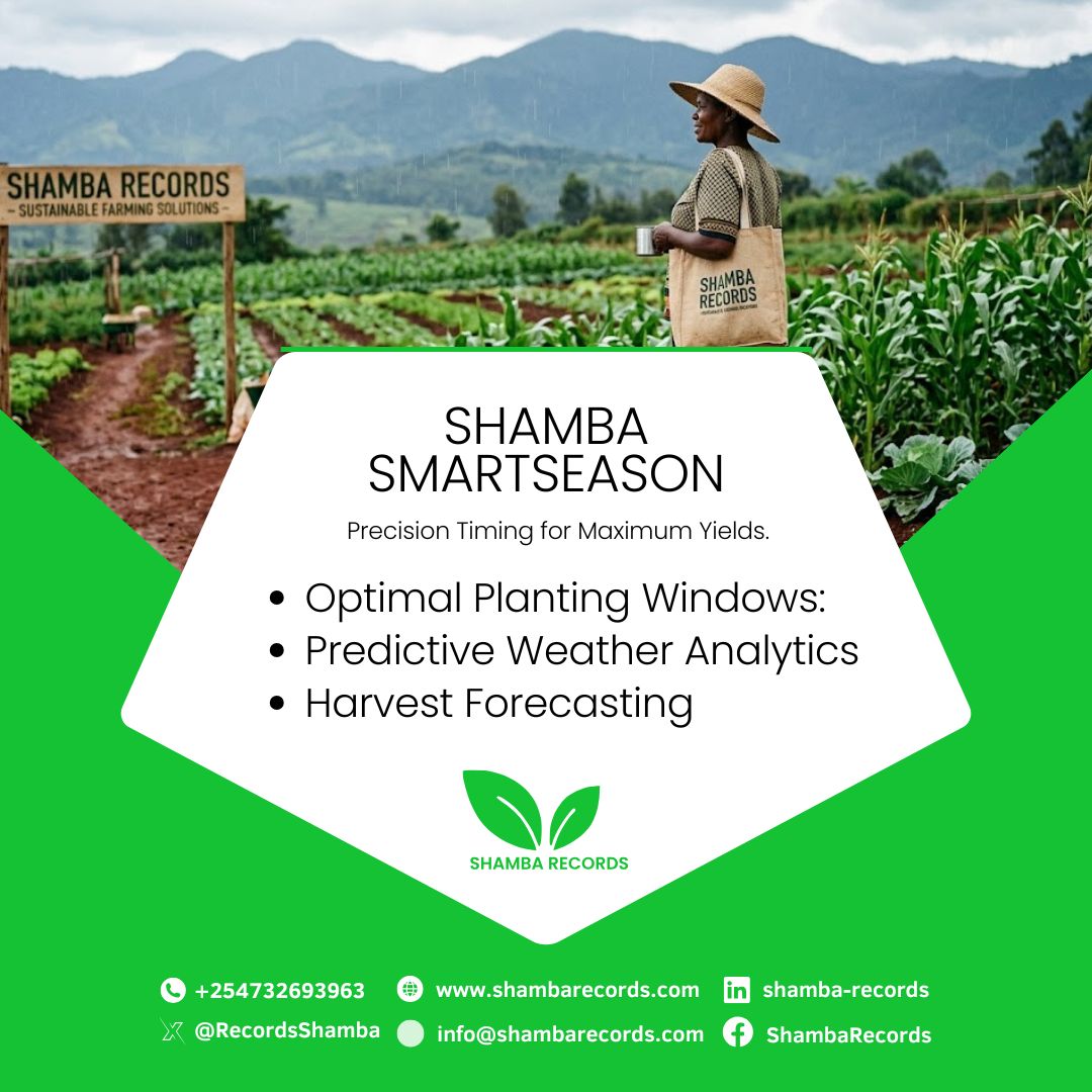 Shamba Records tweet media