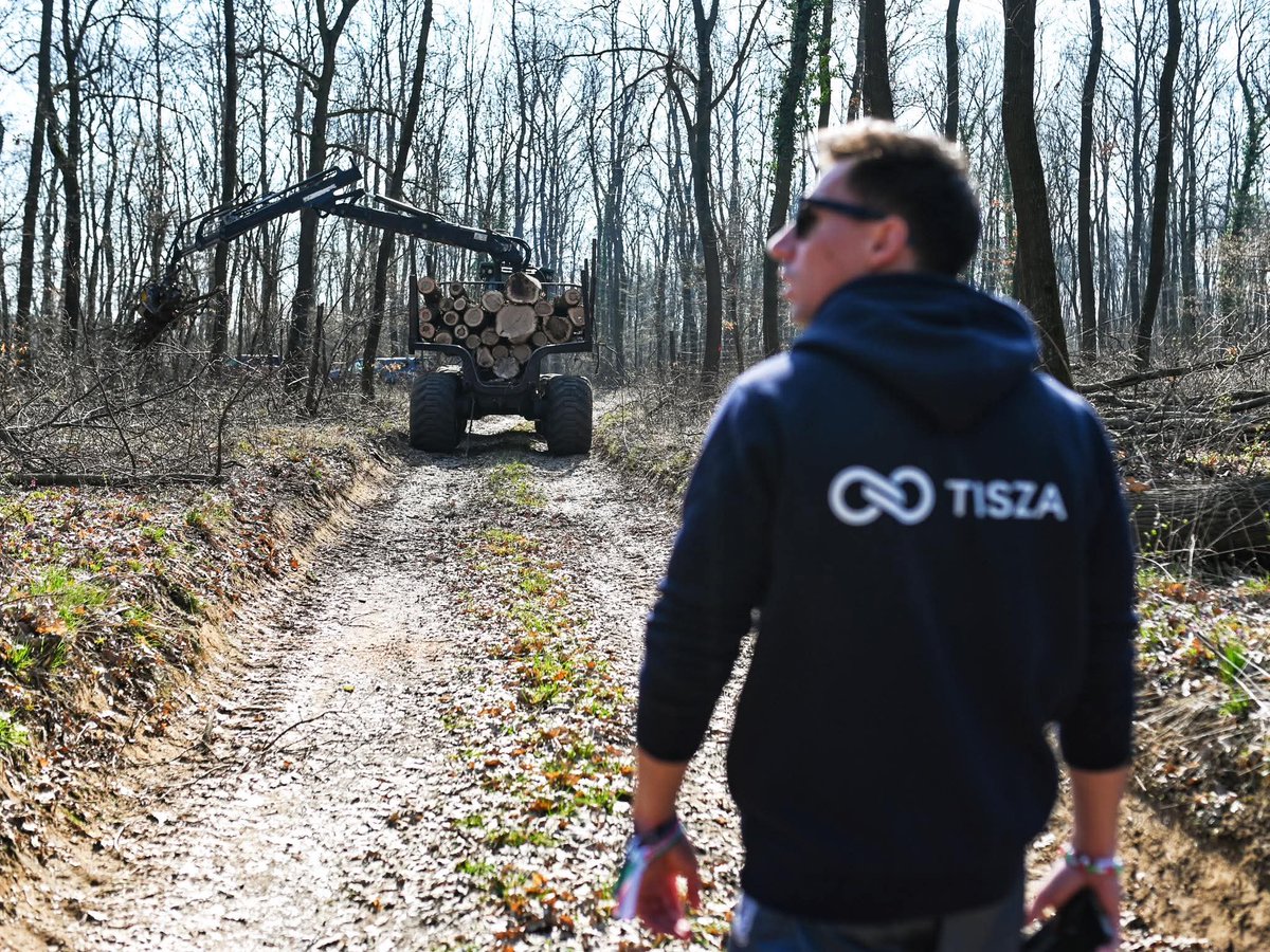 László H. tweet media