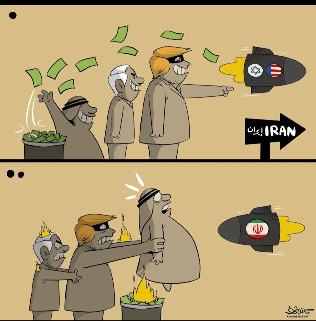 Paradise News Line tweet media