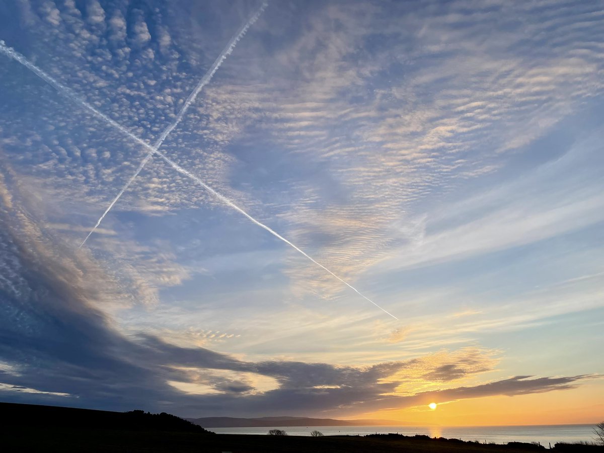 Adele and Rex (former staff to Monty🌈& Jilly🌈) tweet media