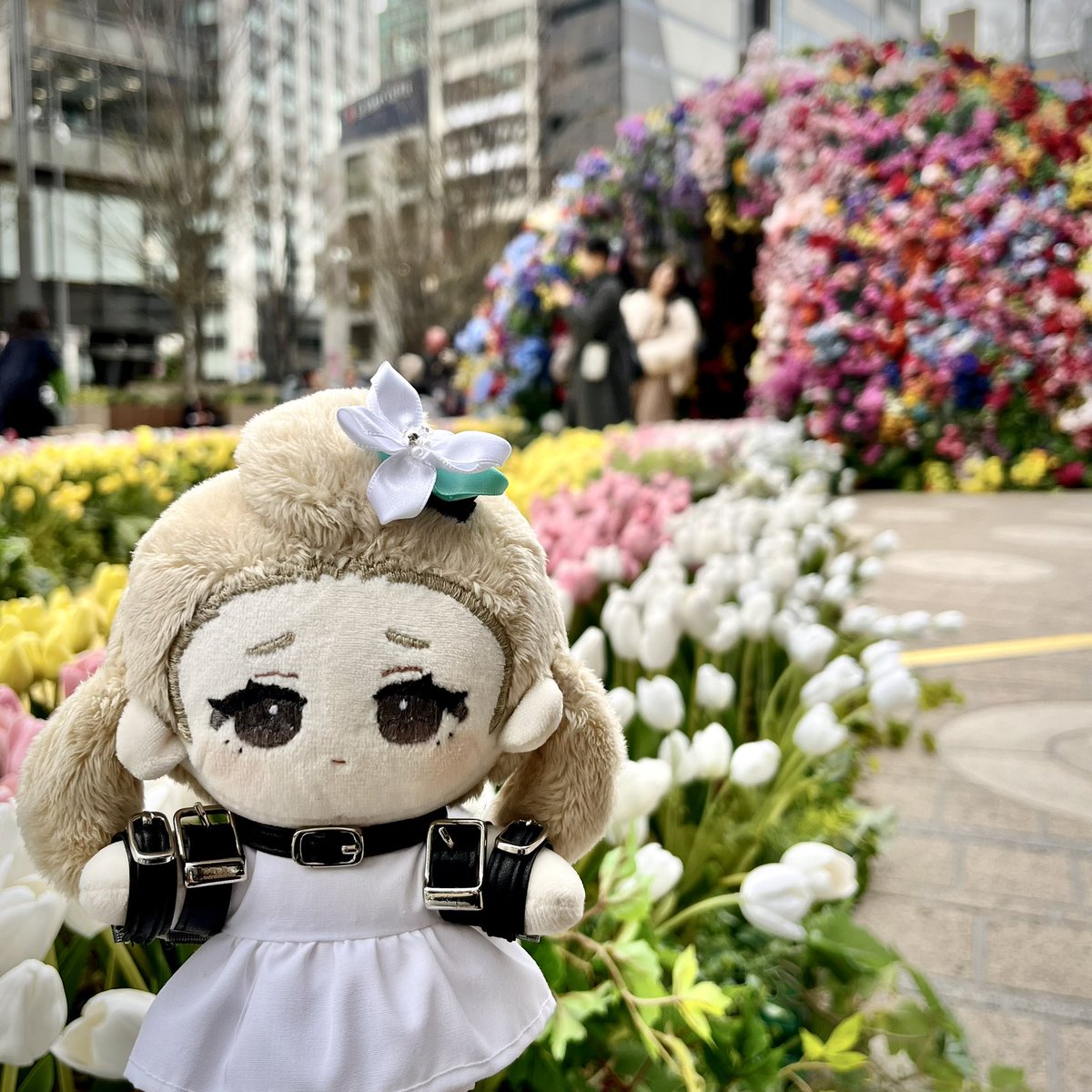 しろまい☁️ tweet media