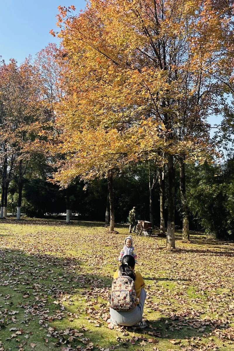 pierluigi tweet media