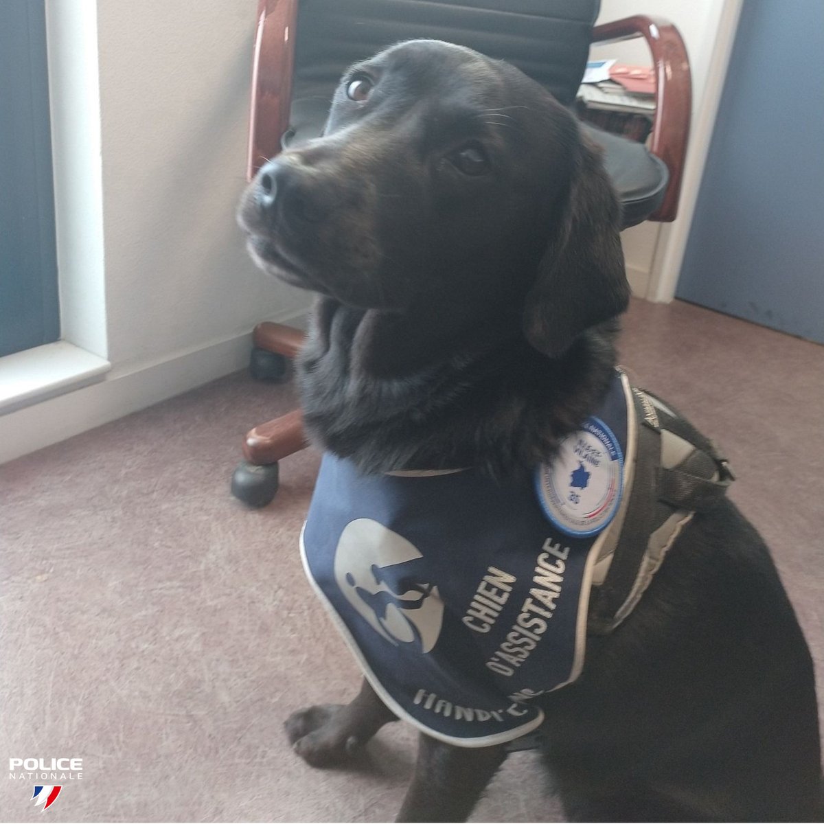 Police nationale 35 tweet media