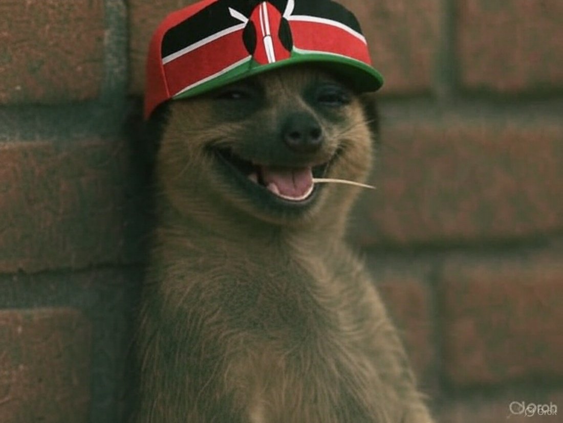 SANKEI🇰🇪 tweet media