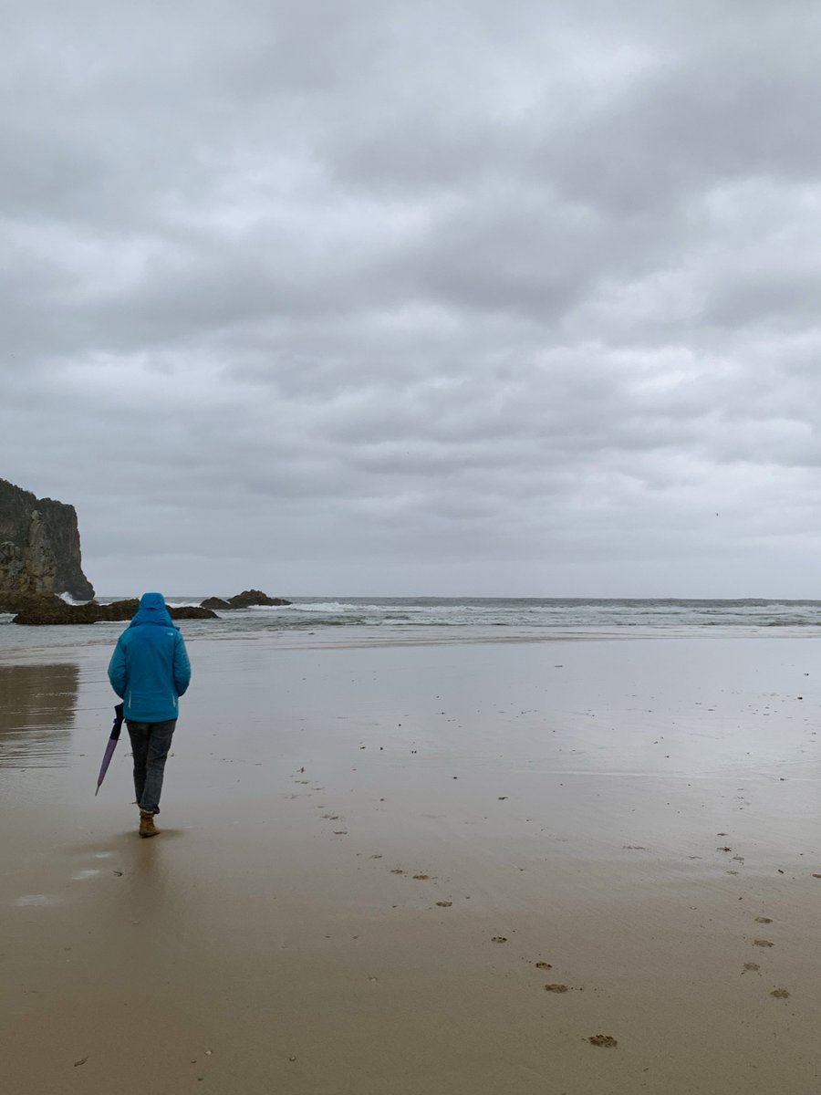 Gabriela tweet media