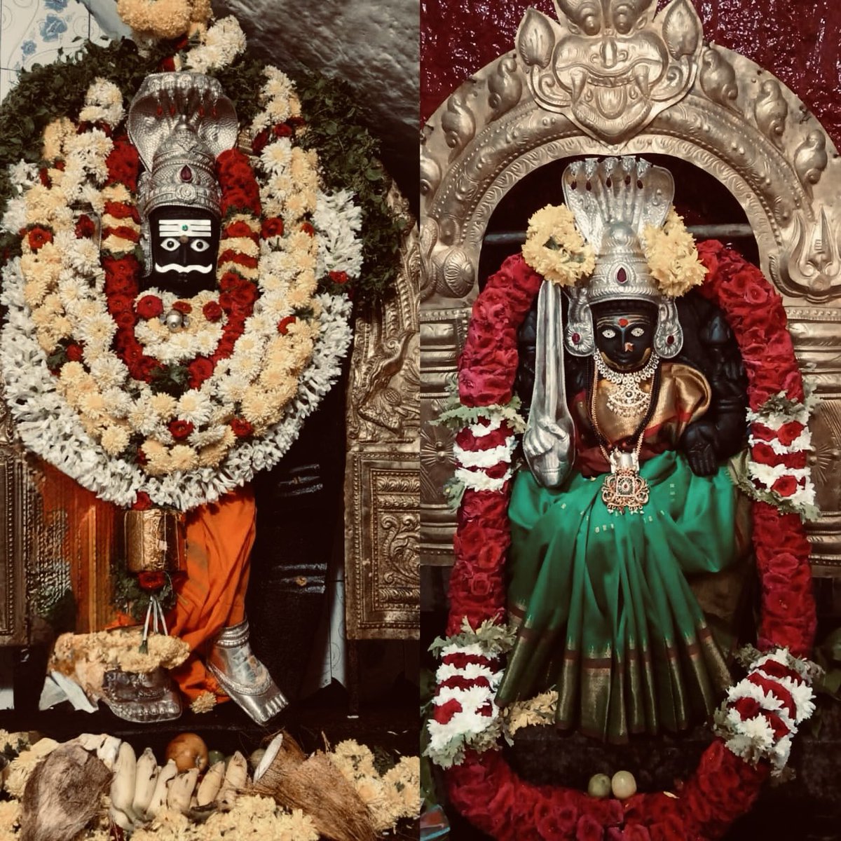 Kumaraswamy Murthy 🇮🇳 tweet media