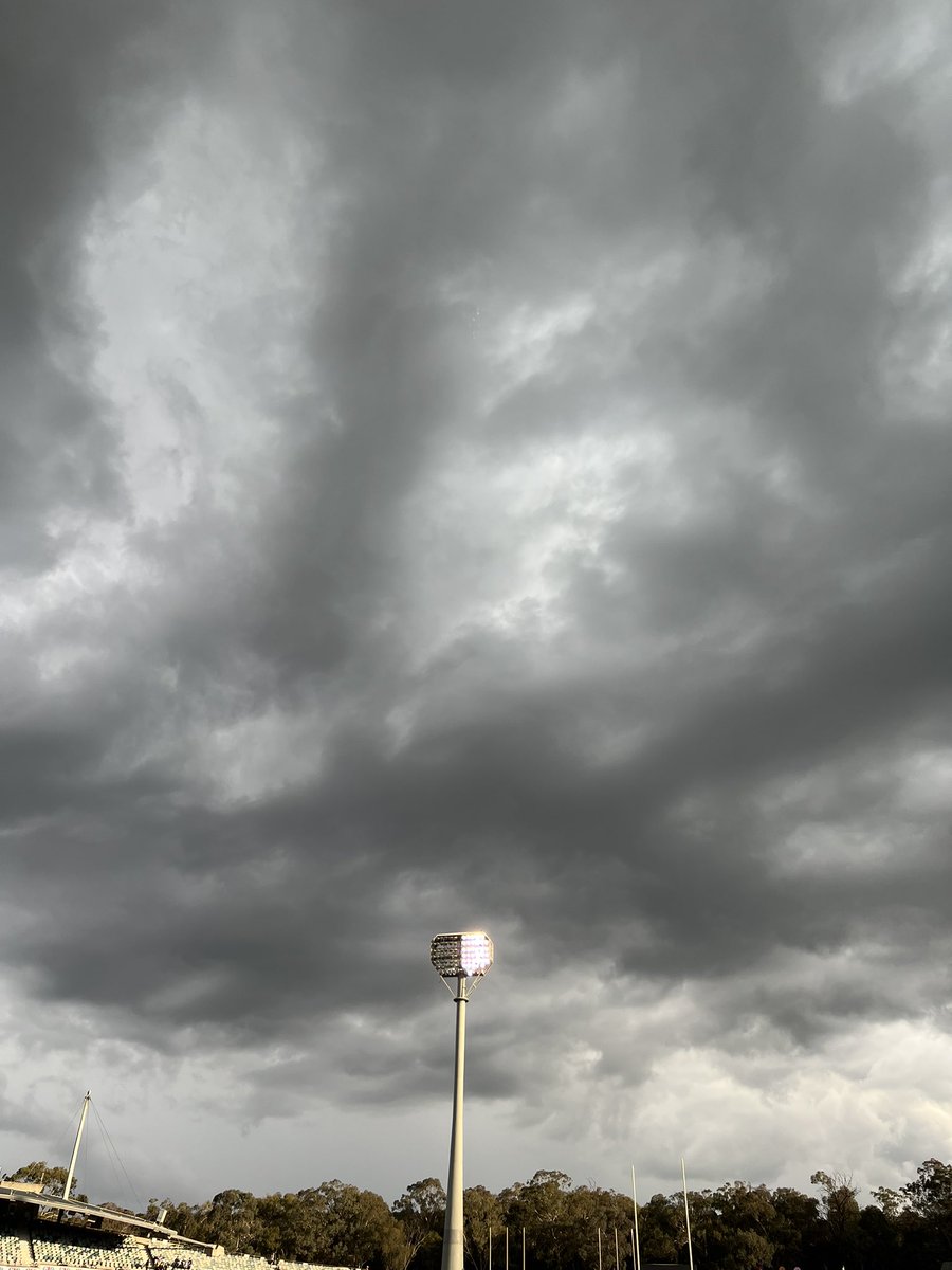 Phoebe #Raiders4Life tweet media