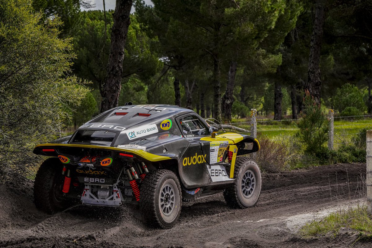 Mediagé Comunicación tweet media