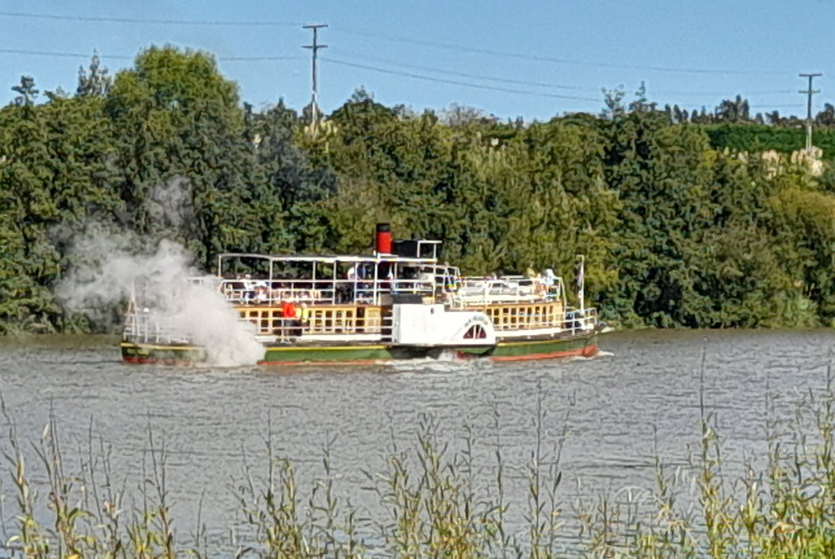 Shorty3 💉X 5 🌍🦋🌼🐝🌼🦋 tweet media