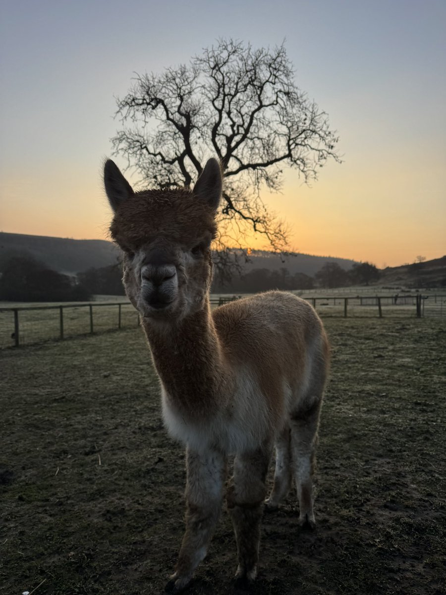 Good Morning Liberty another beautiful sunrise #SpringDay