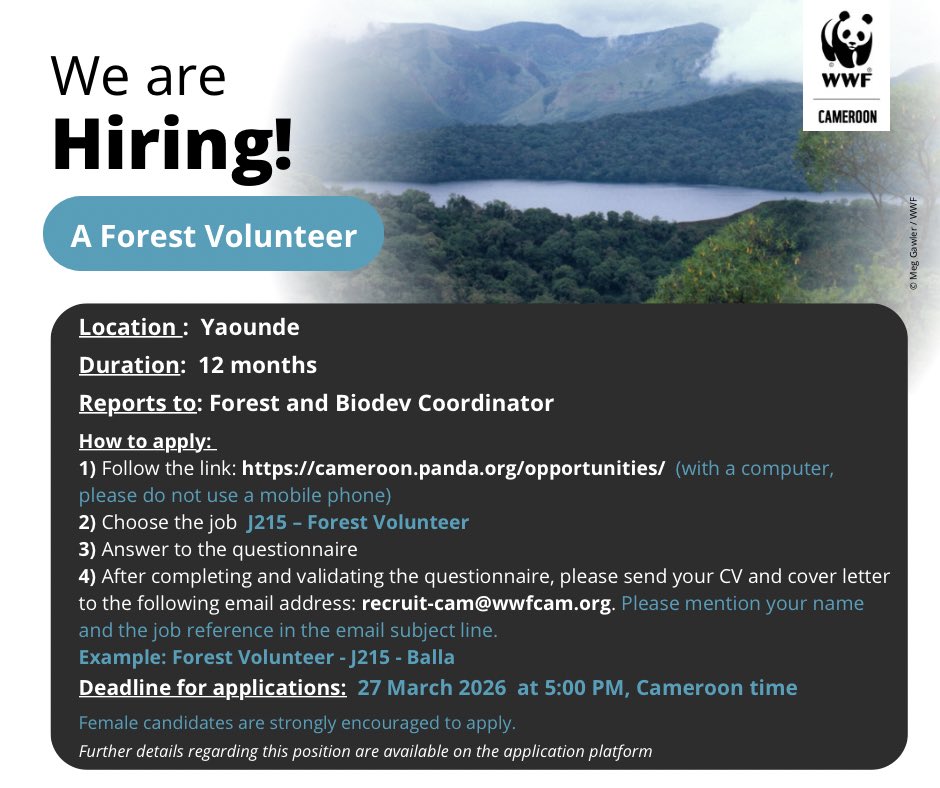 WWF CAMEROON tweet media